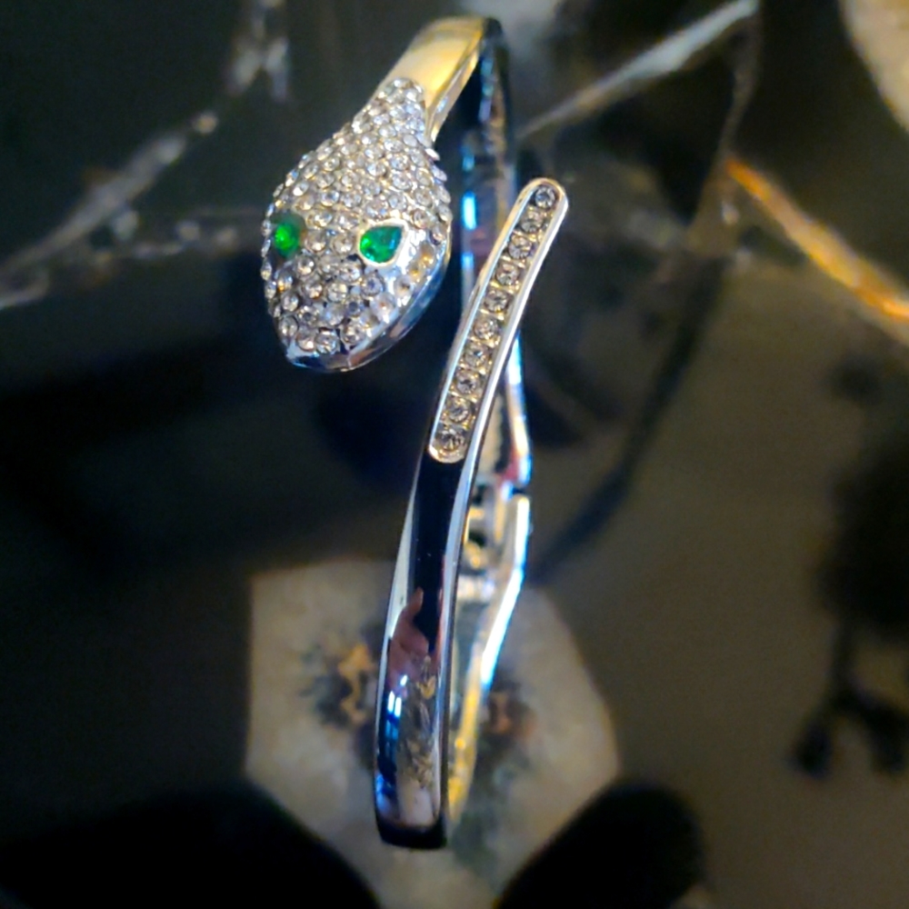 Snake-Shaped Stainless Steel Open Bracelet - Picture 2 of 3